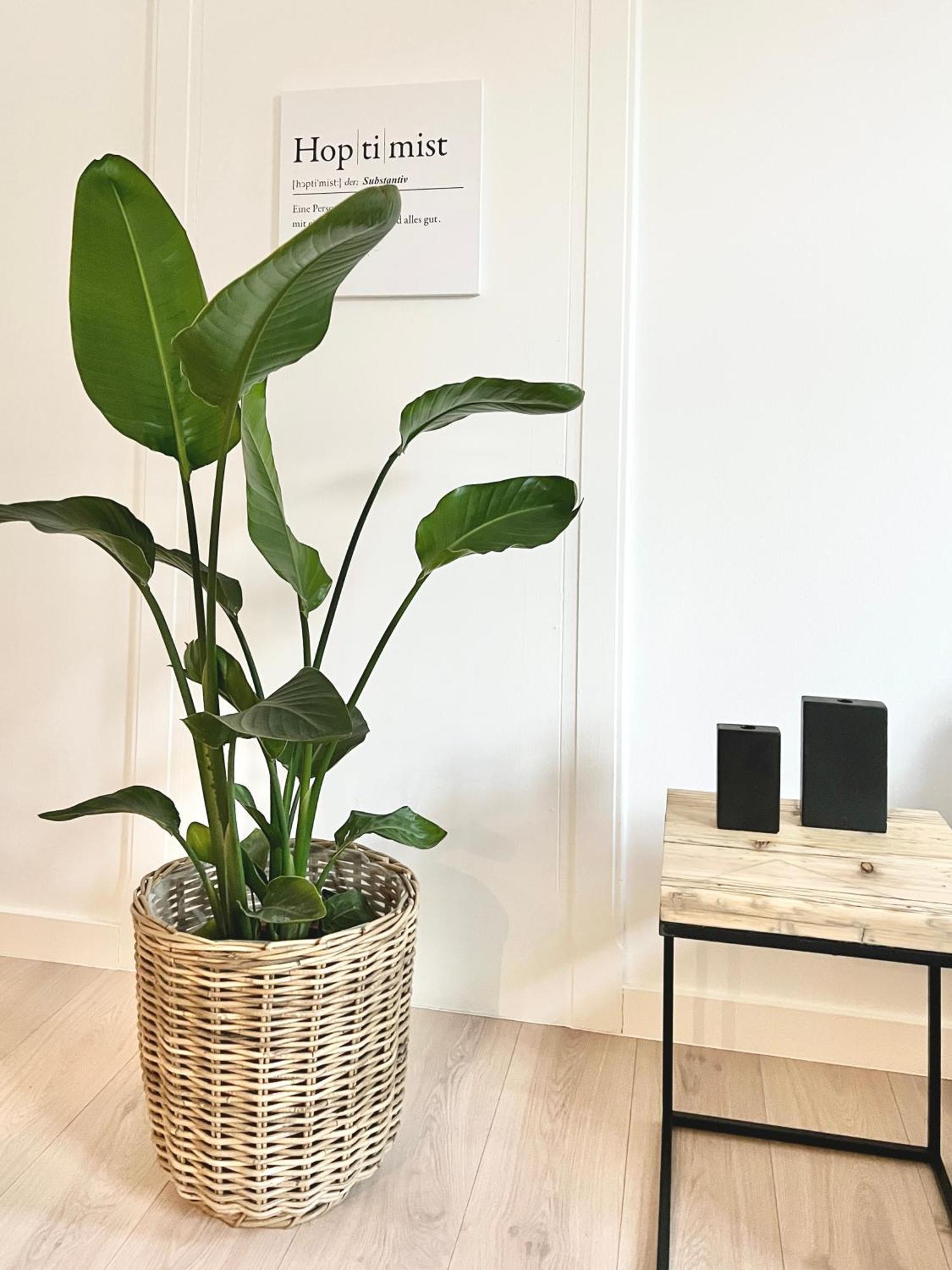 Makers And Rooms Apartment 01 Pauline 110Qm Parkplatz 1-4 Personen Detmold Esterno foto